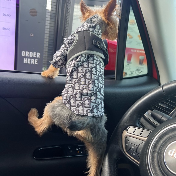 Meet your Posher, Nádia - Picture 10 of 11